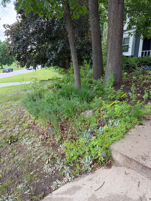 24 Yards of Mulch and a Full Landscape Facelift
