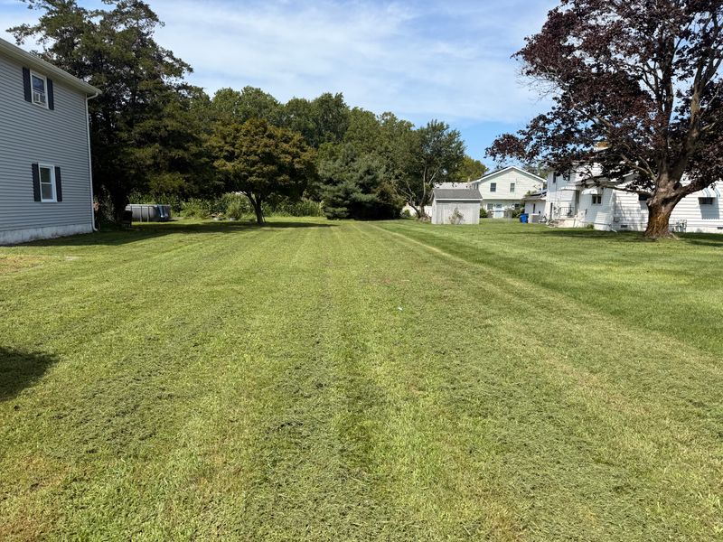 Lawn Care
