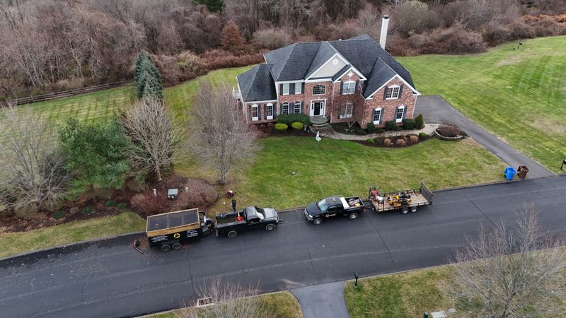 Spring & Fall Clean ups gallery