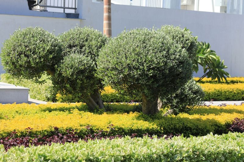 Landscaping