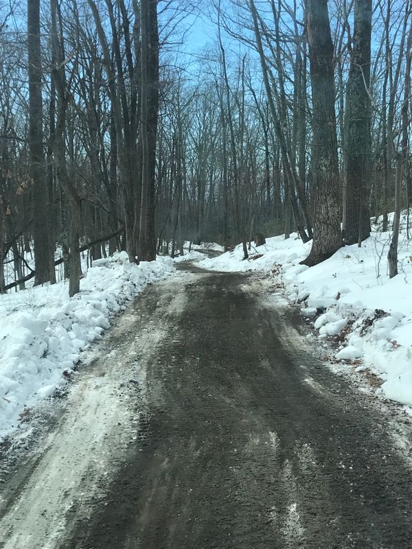 Driveway Regrading