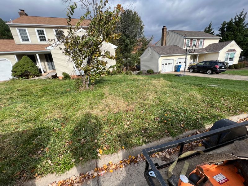 Spring / Fall Clean Up
