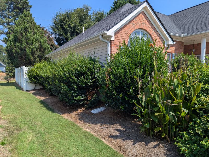 Mulch Installation