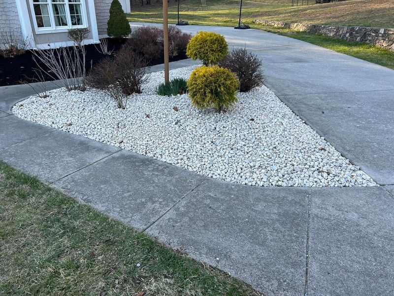 Landscape Design & Installation