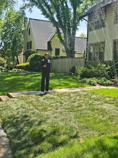Sod Replacement & Laying