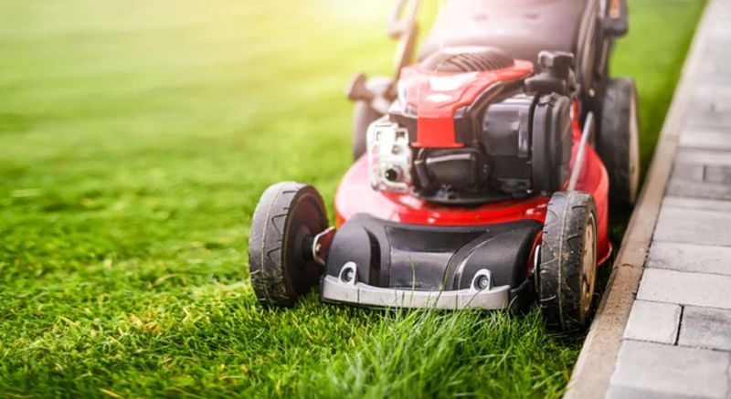 Lawn Mowing and Maintenance