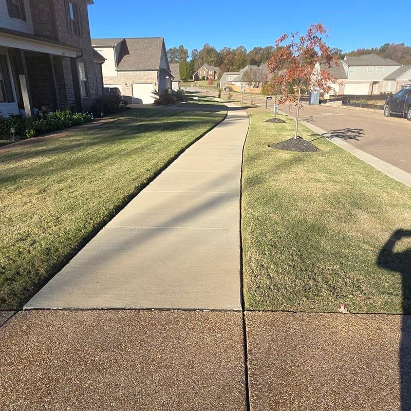 Shrub Trimming