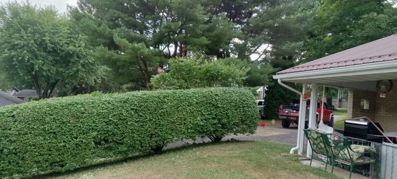 Landscape Installation