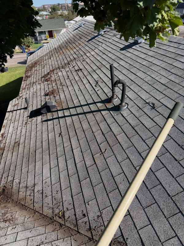 Roof Cleaning