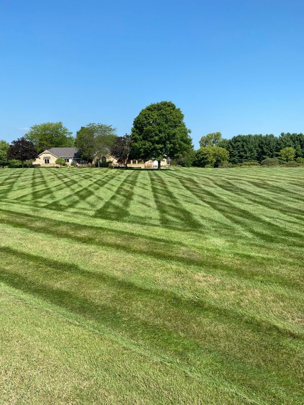 Sod Installation & Lawn Renovation