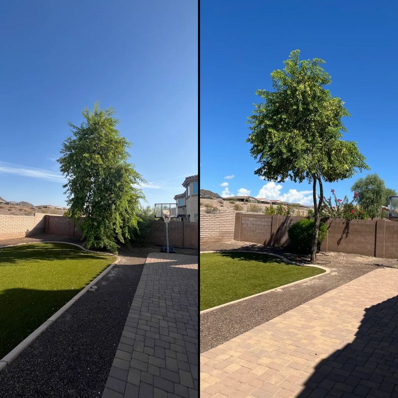 Lawn Maintenance