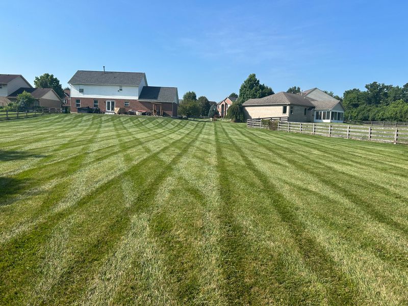 Our Mowing