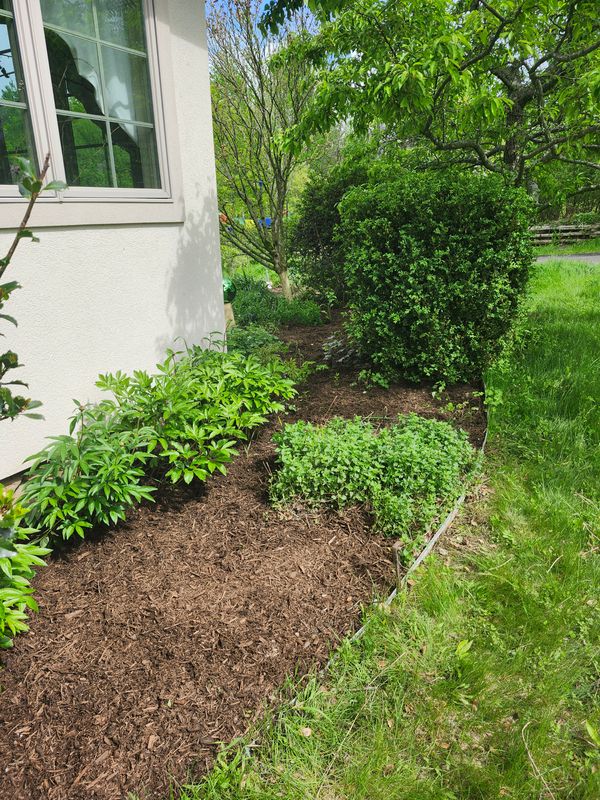 Muclhing & Weeding