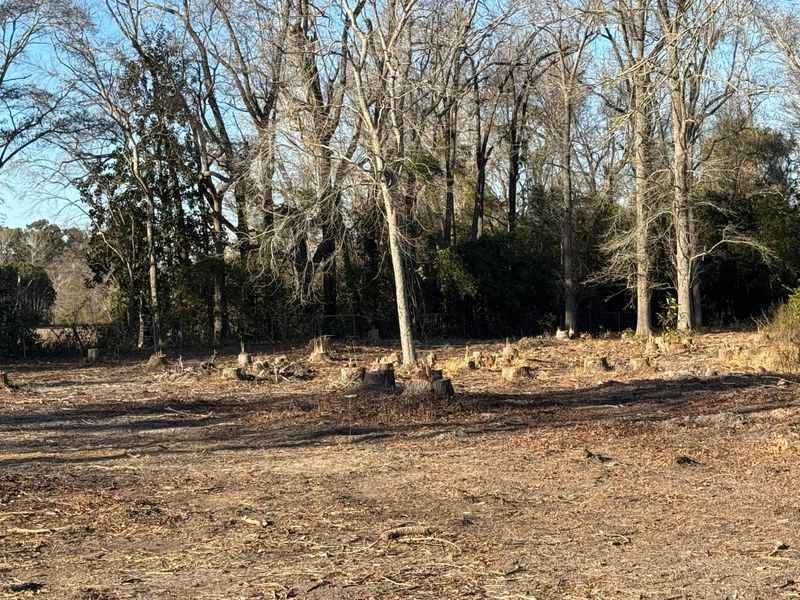 Forestry Mulching