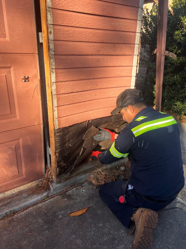 Handyman Services