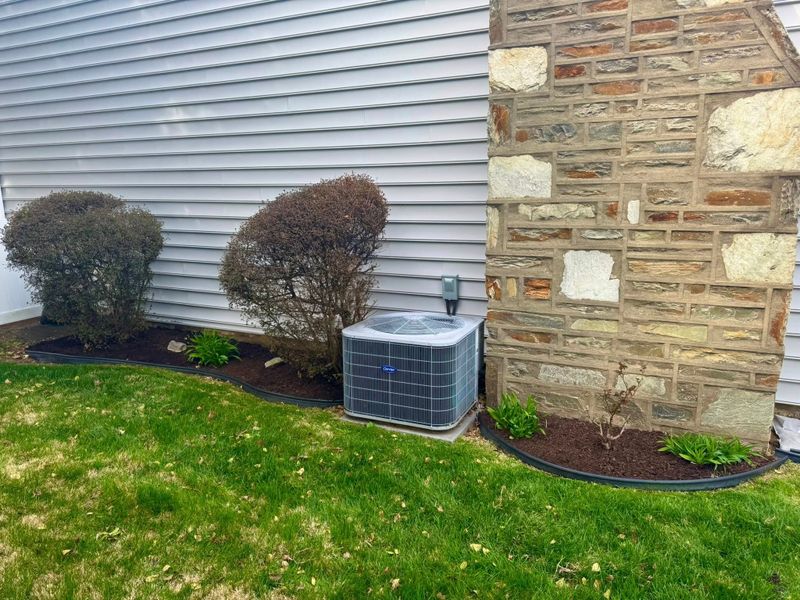 Tree & Shrub Care