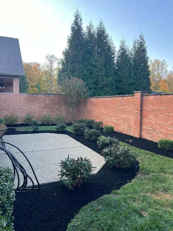 Patio Design & Construction