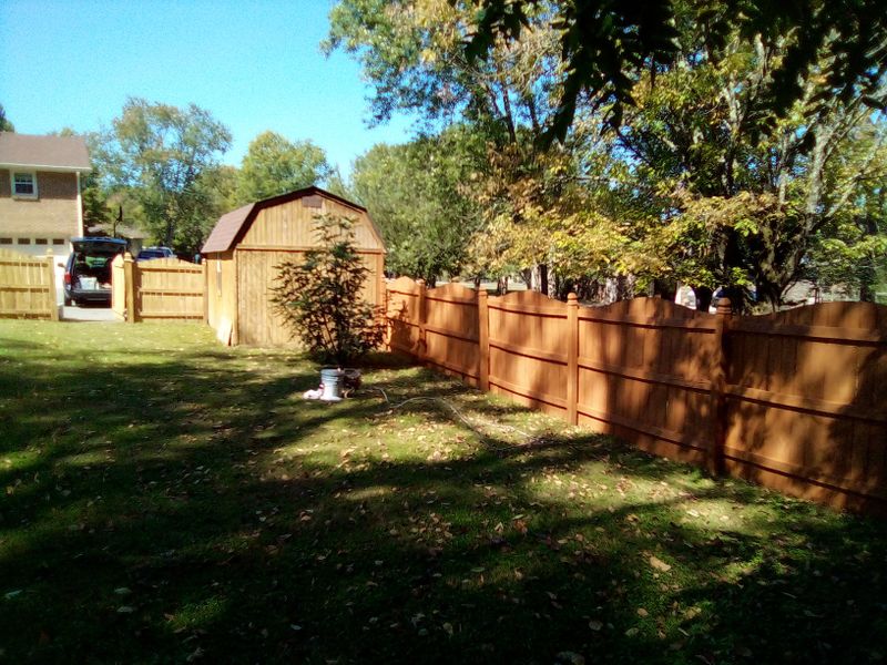 FENCES