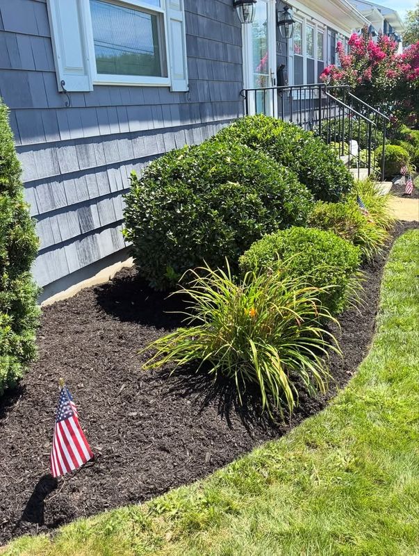Lawn Maintenance