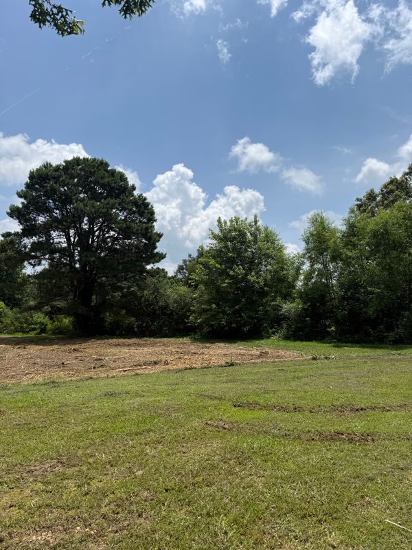 Land Clearing