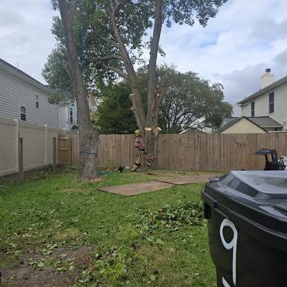 Tree Removal
