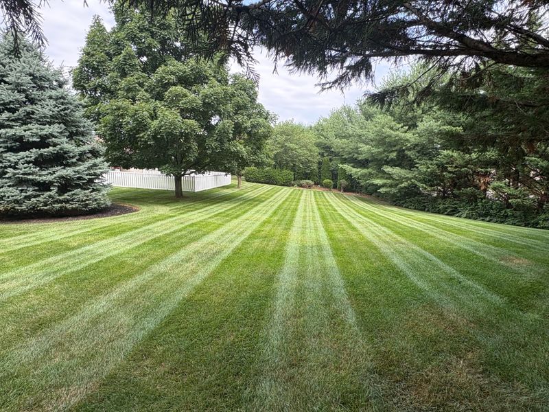 Mowing