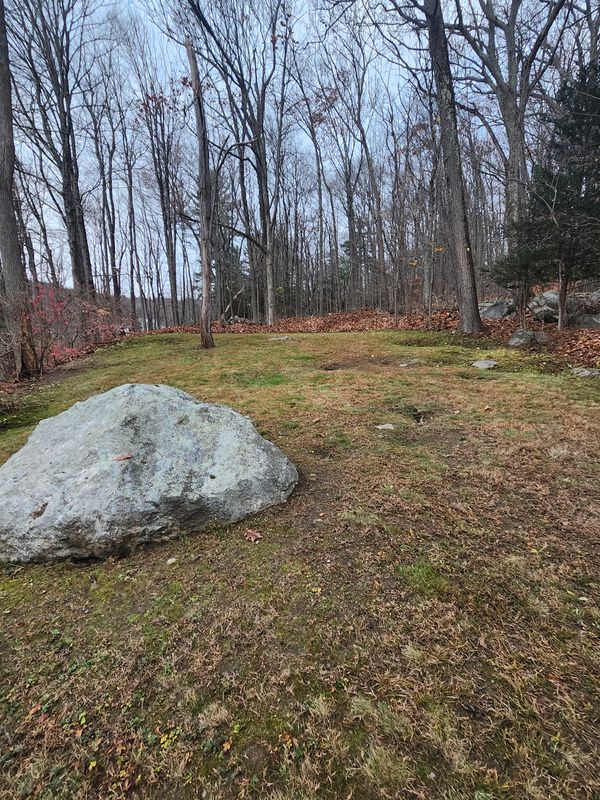 Spring & Fall Cleanups