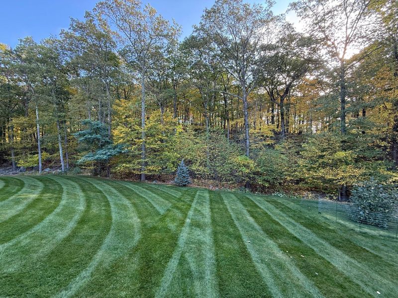 Lawn Maintenance