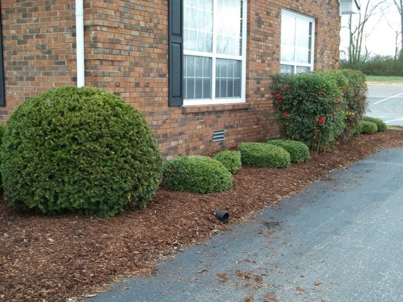 Landscaping