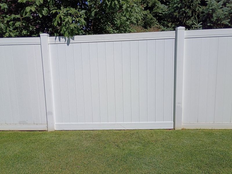 Deck and Fence Staining