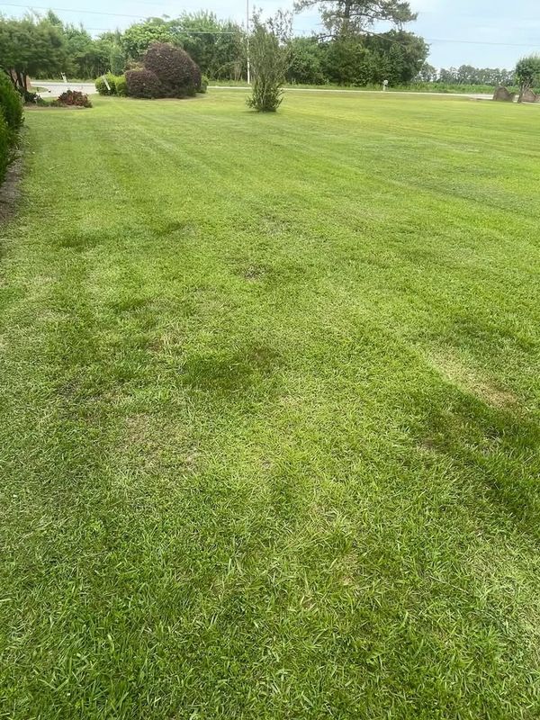 Lawn Maintenance