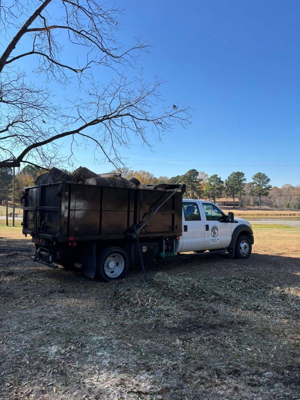 Stump Grinding Solutions