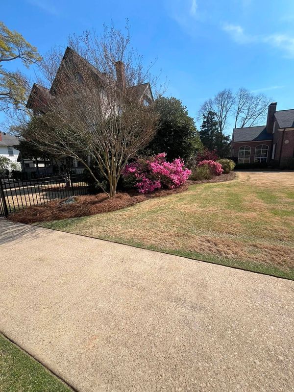 Lawn Care & Maintenance