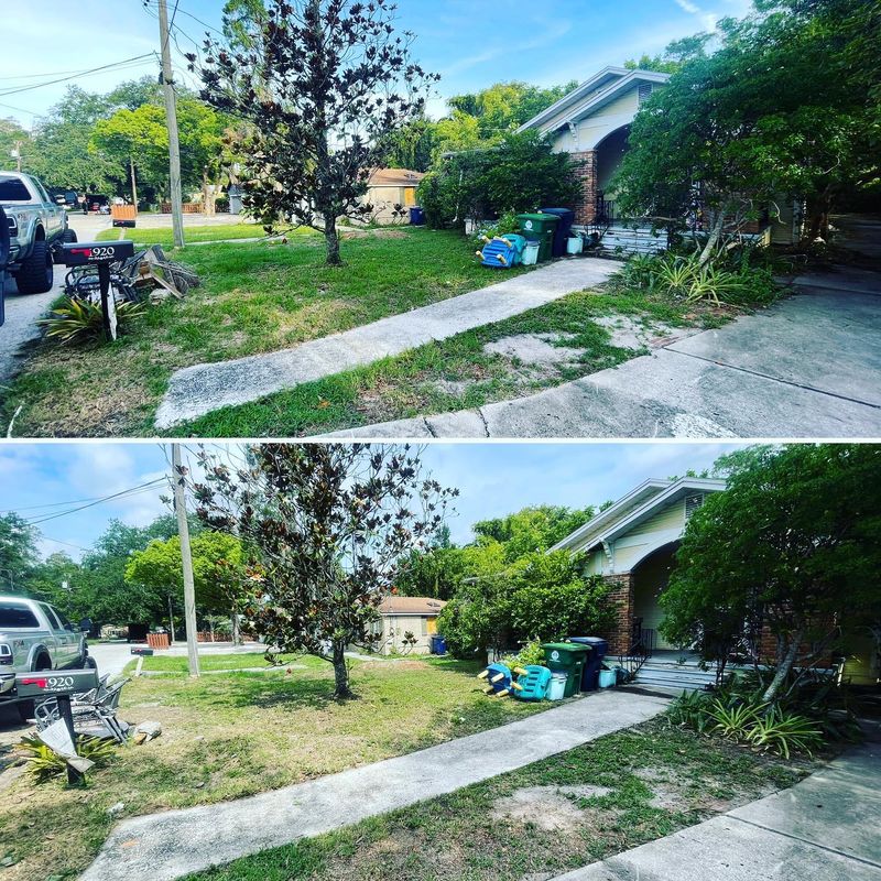 Fall Clean Up