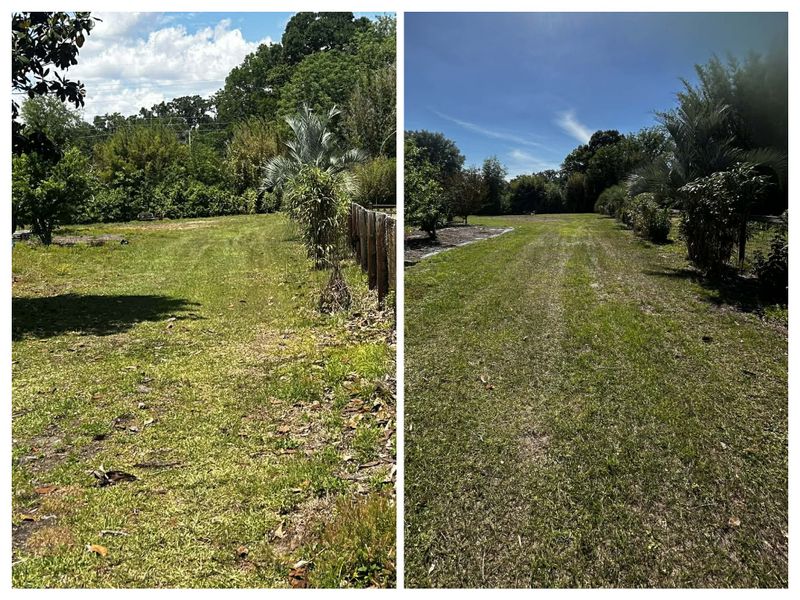 Yard Maintenance & Cleanup