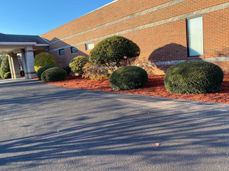 Landscaping