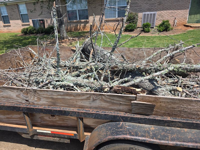 Junk Removal