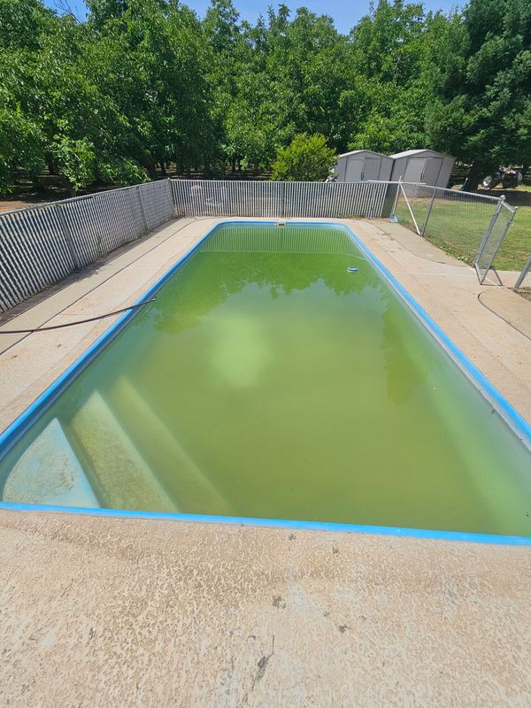 Green Pool Cleanups