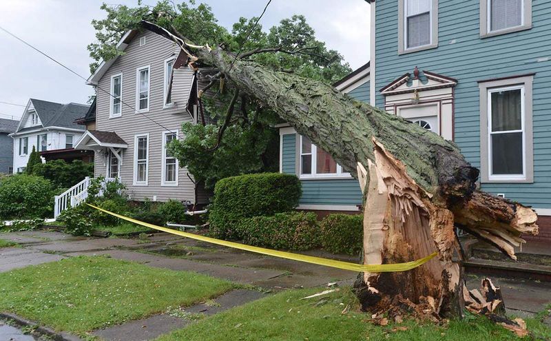 Storm Clean-Ups