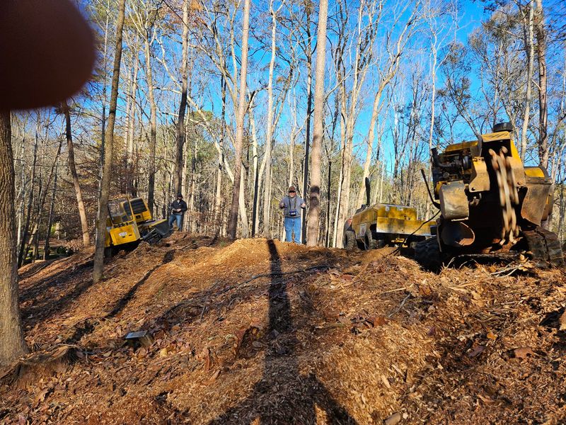 Stump Grinding