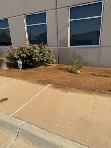 Tree & Shrub Care