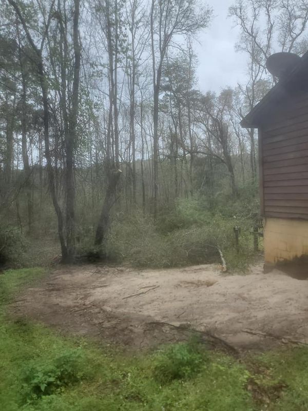 Stump Removal