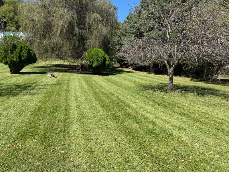 Lawn Maintenance