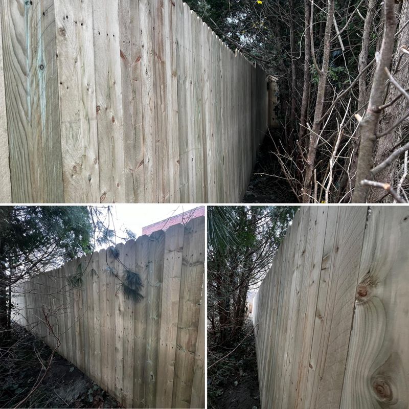 Fencing Repair & Installation