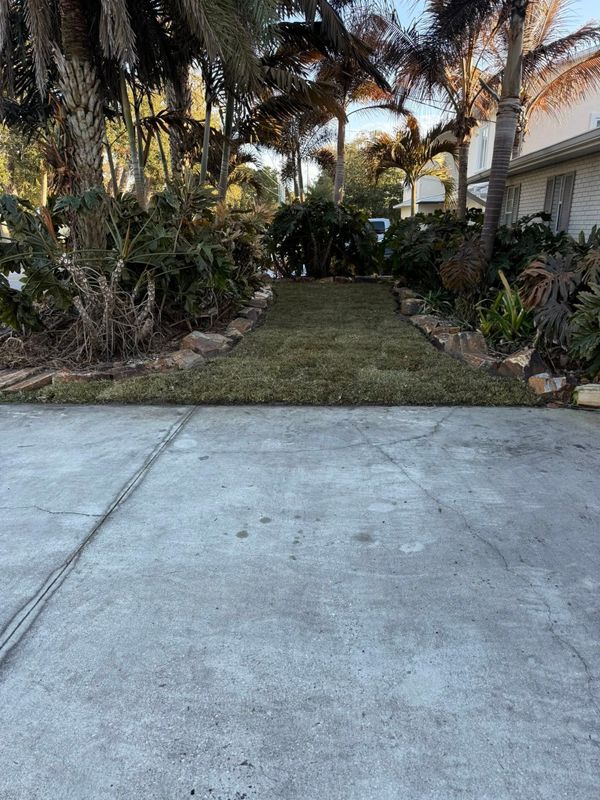Mulch Installation