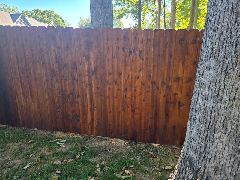 Fence Staining