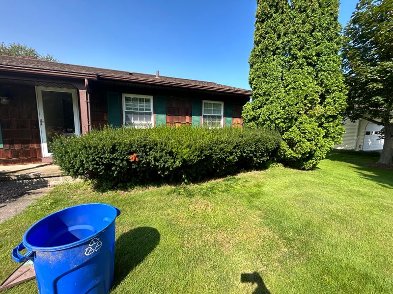 Shrub Trimming