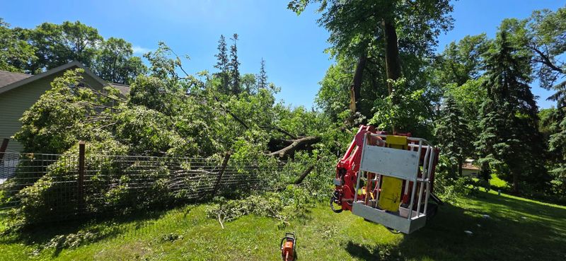 Storm Damage Clean-Up