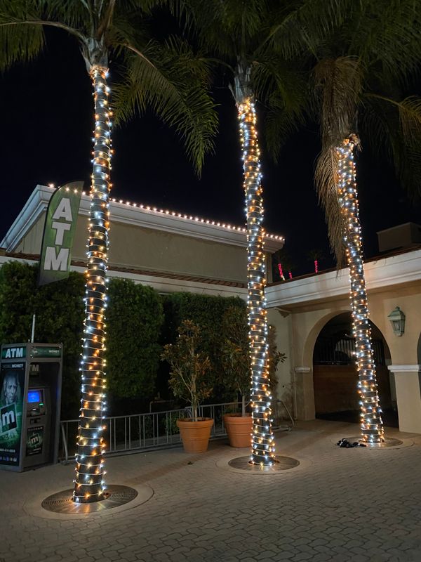 Christmas Light Installation