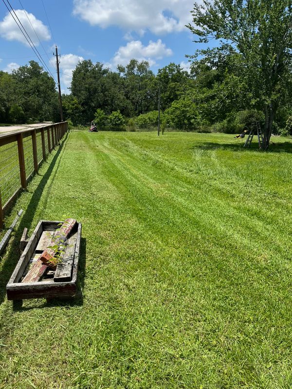 Lawn and Yard Maintenance